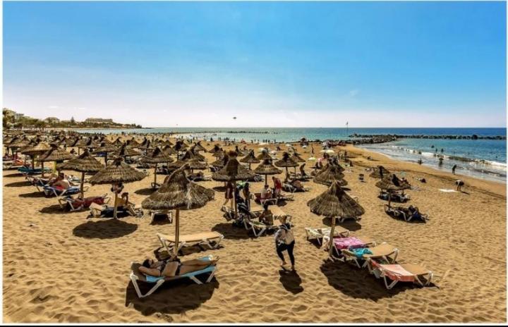 Amazing 3 Bedroom Apartment On The First Line Of The Best Las Americas Beach, Air Conditioner And Terrace Ocean View Playa de las Americas  Esterno foto